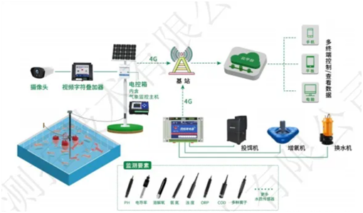 78277854.png image001.png